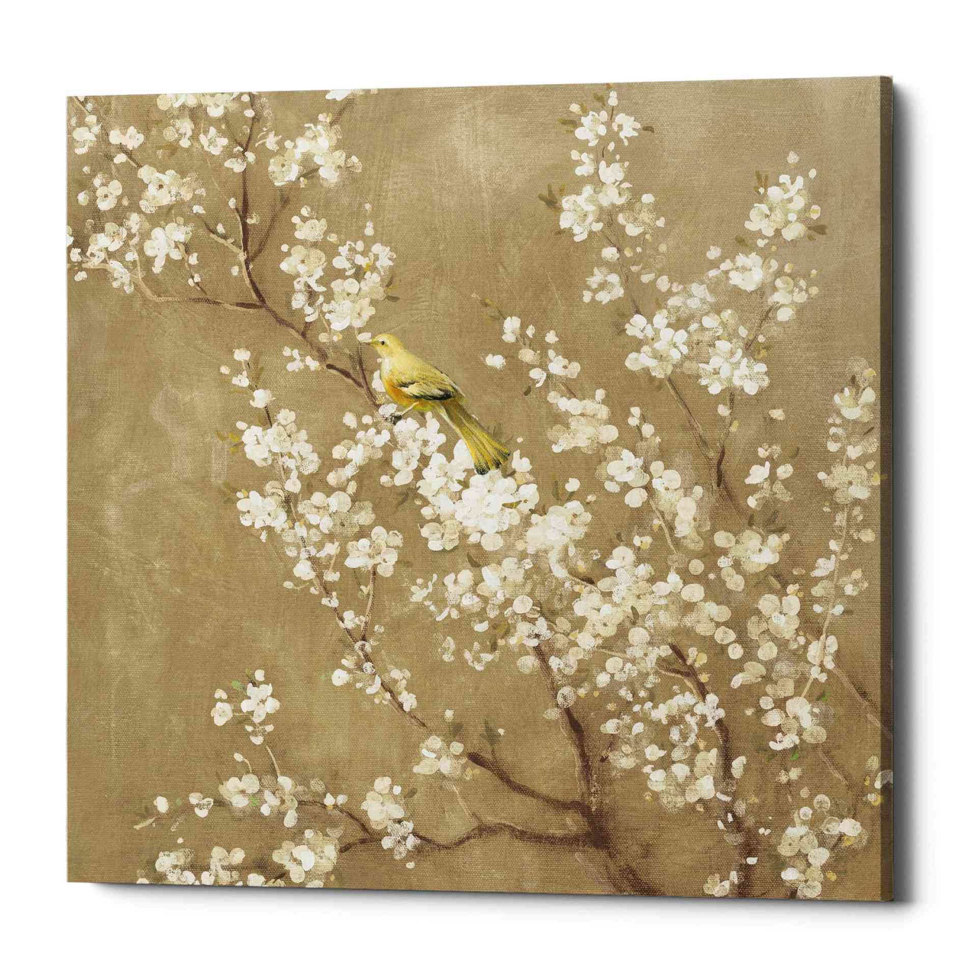 'White Cherry Blossom II Neutral' by Danhui Nai, Canvas Wall Art