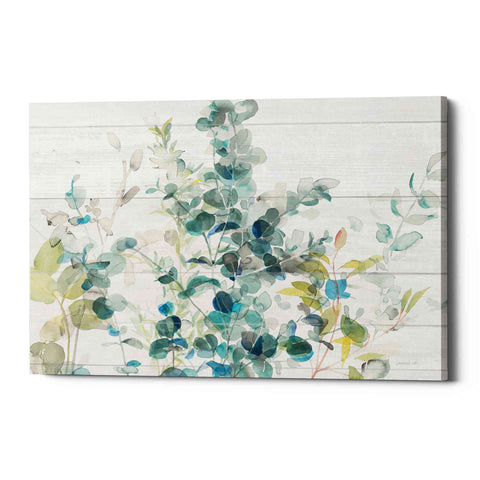 Image of 'Eucalyptus I on Shiplap Crop' by Danhui Nai, Canvas Wall Art
