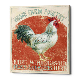 'Farm Nostalgia IV' by Danhui Nai, Canvas Wall Art