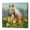 'Farm and Field II Crop' by Danhui Nai, Canvas Wall Art