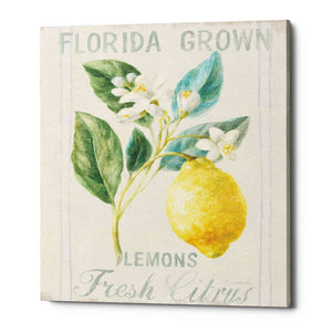 'Floursack Lemon I' by Danhui Nai, Canvas Wall Art