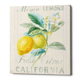 'Floursack Lemon II' by Danhui Nai, Canvas Wall Art