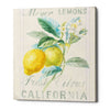 'Floursack Lemon II' by Danhui Nai, Canvas Wall Art