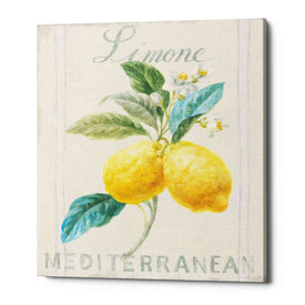 'Floursack Lemon III' by Danhui Nai, Canvas Wall Art