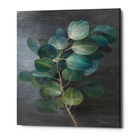 'Fresh I' by Danhui Nai, Canvas Wall Art