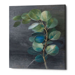 'Fresh II' by Danhui Nai, Canvas Wall Art