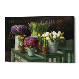 'Les Fleurs Printemps on Black' by Danhui Nai, Canvas Wall Art