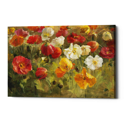 Image of 'Poppy Field' by Danhui Nai, Canvas Wall Art
