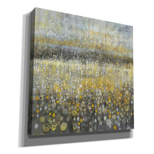 'Rain Abstract II' by Danhui Nai, Canvas Wall Art