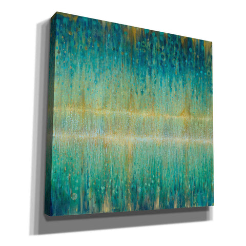 Image of 'Rain Abstract I' by Danhui Nai, Canvas Wall Art