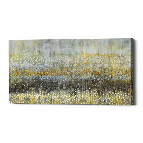 Image of 'Rain Abstract II Crop' by Danhui Nai, Canvas Wall Art