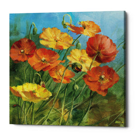 'Summer Field IV' by Danhui Nai, Canvas Wall Art