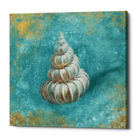 'Treasures From The Sea II' by Danhui Nai, Canvas Wall Art