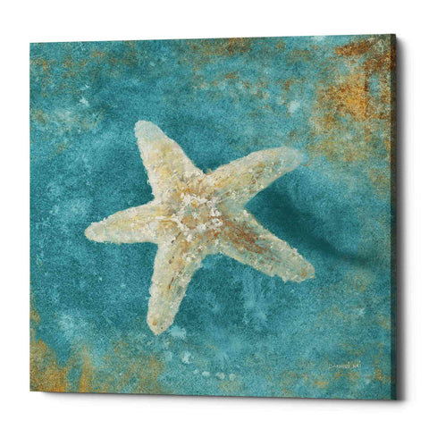 Image of 'Treasures From The Sea IV' by Danhui Nai, Canvas Wall Art