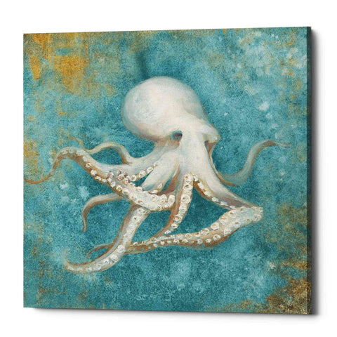 Image of 'Treasures From The Sea V' by Danhui Nai, Canvas Wall Art