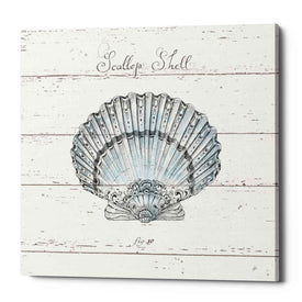 'Aqua Underwater Life VIII Shiplap' by Daphne Brissonet, Canvas Wall Art