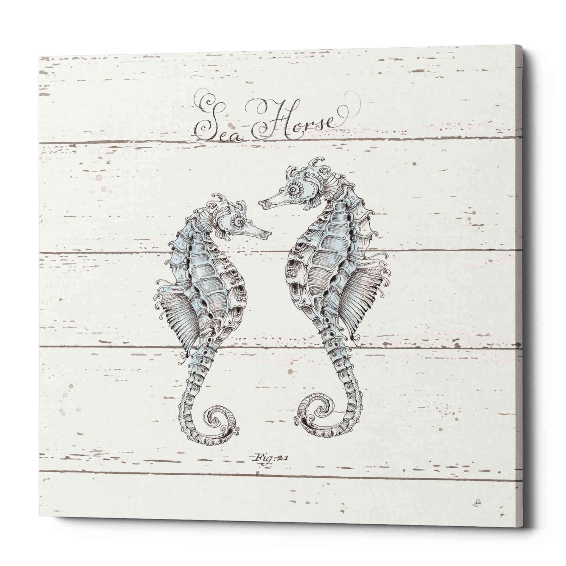 'Aqua Underwater Life V Shiplap' by Daphne Brissonet, Canvas Wall Art