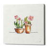 'Desert Bloom VI' by Daphne Brissonet, Canvas Wall Art