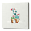 'Desert Bloom V' by Daphne Brissonet, Canvas Wall Art