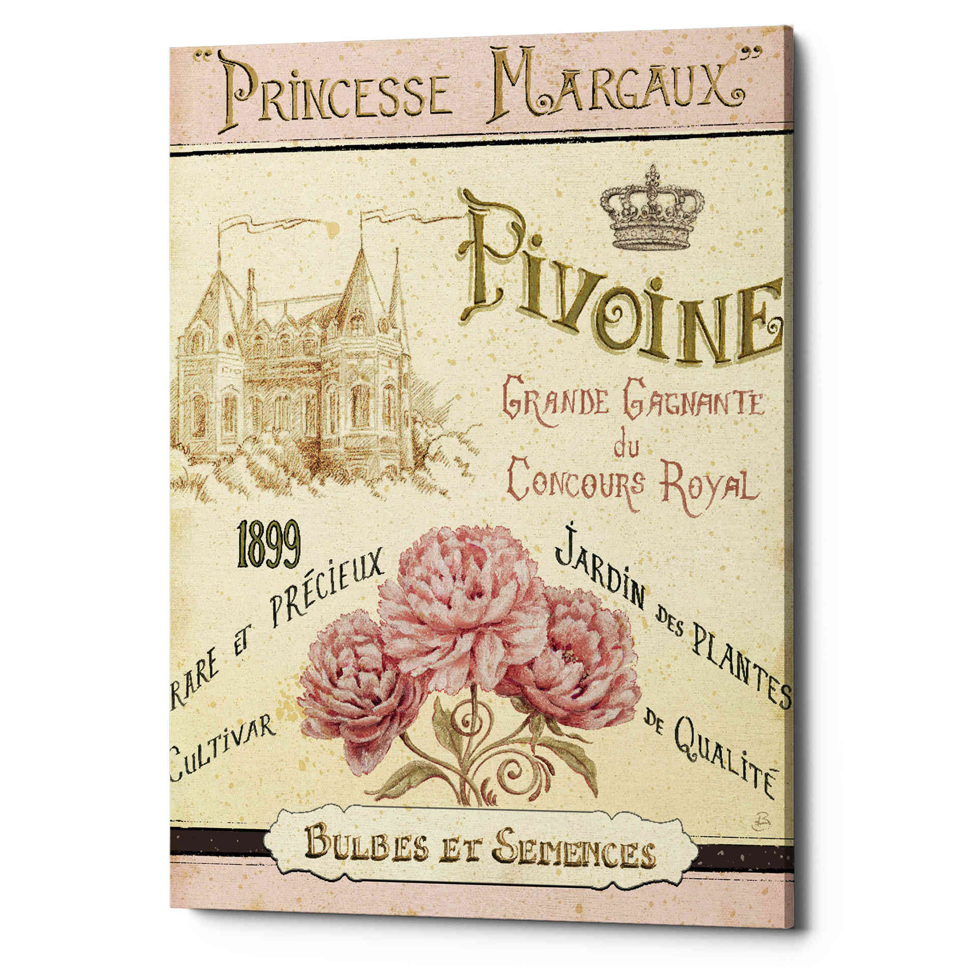 'French Seed Packet III' by Daphne Brissonet, Canvas Wall Art