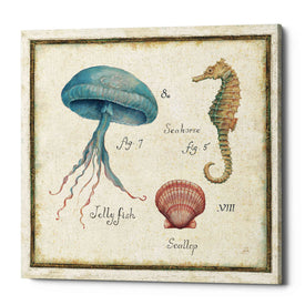 'Oceanography III' by Daphne Brissonet, Canvas Wall Art