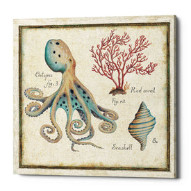 'Oceanography I' by Daphne Brissonet, Canvas Wall Art