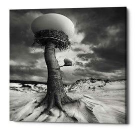 '2nests' by Dariusz Klimczak, Canvas Wall Art
