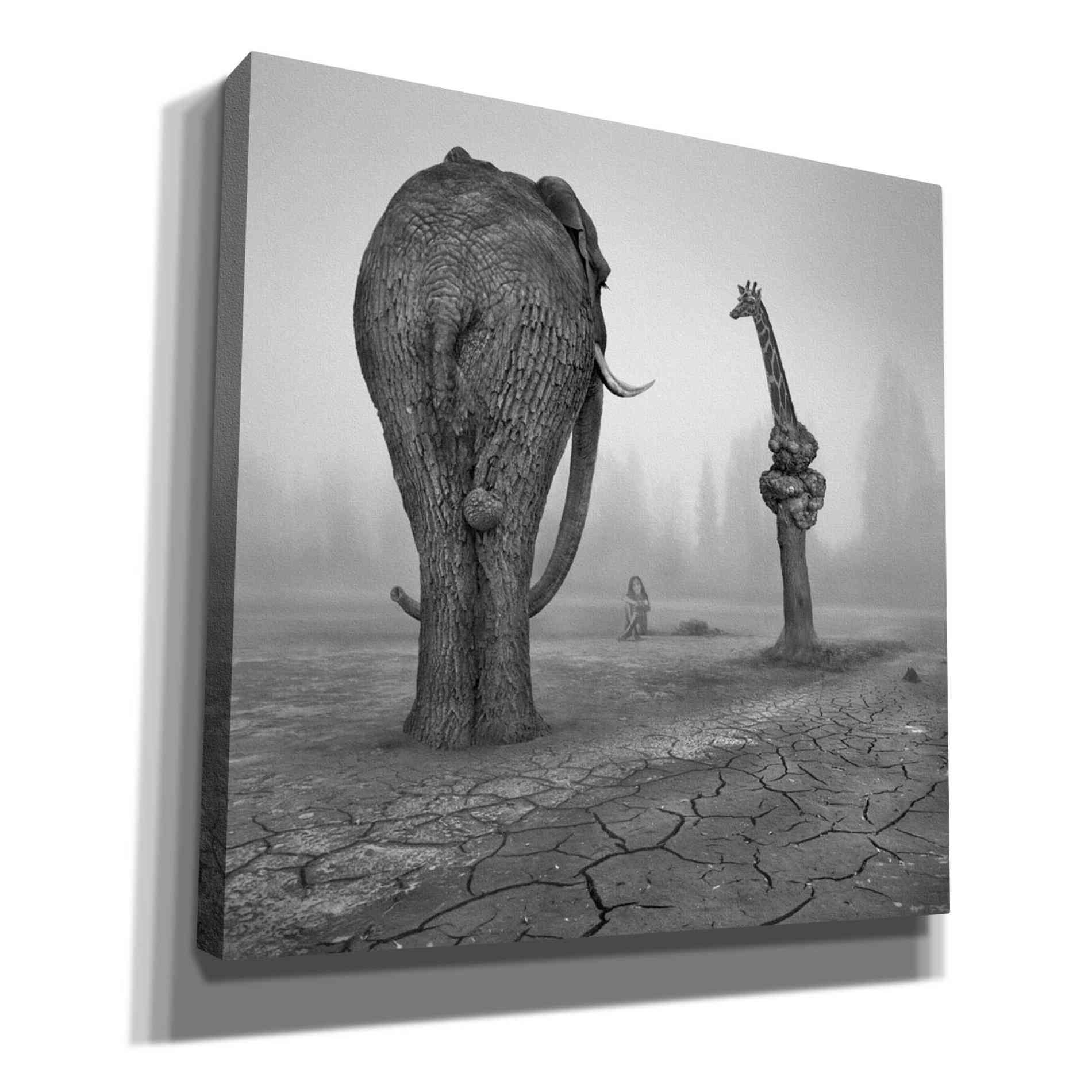 'Animalia' by Dariusz Klimczak, Giclee Canvas Wall Art