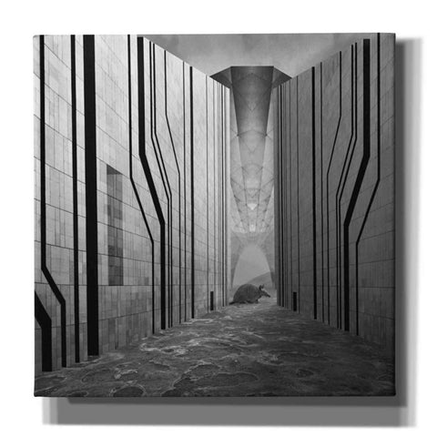 Image of 'Armadillo' by Dariusz Klimczak, Giclee Canvas Wall Art
