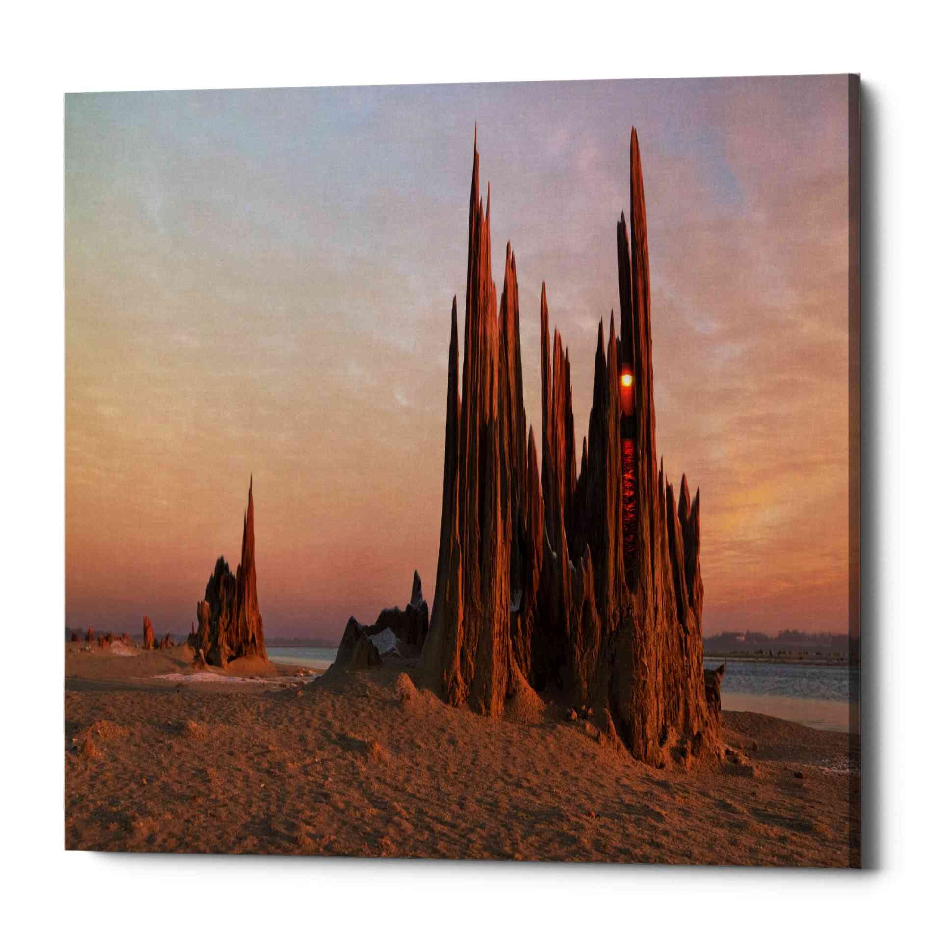 'Cathedral' by Dariusz Klimczak, Canvas Wall Art