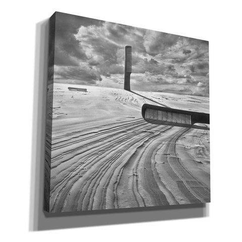 Image of 'Combing the Dunes' by Dariusz Klimczak, Giclee Canvas Wall Art