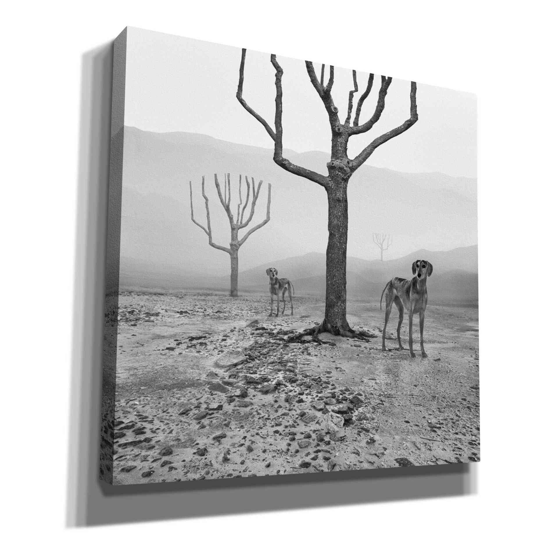 'Dogs in Fog' by Dariusz Klimczak, Giclee Canvas Wall Art