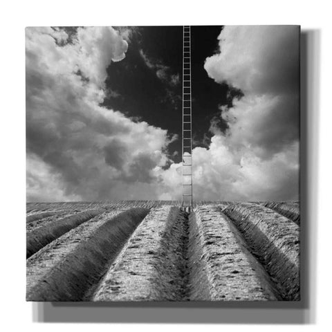 Image of 'Drabinka' by Dariusz Klimczak, Canvas Wall Art