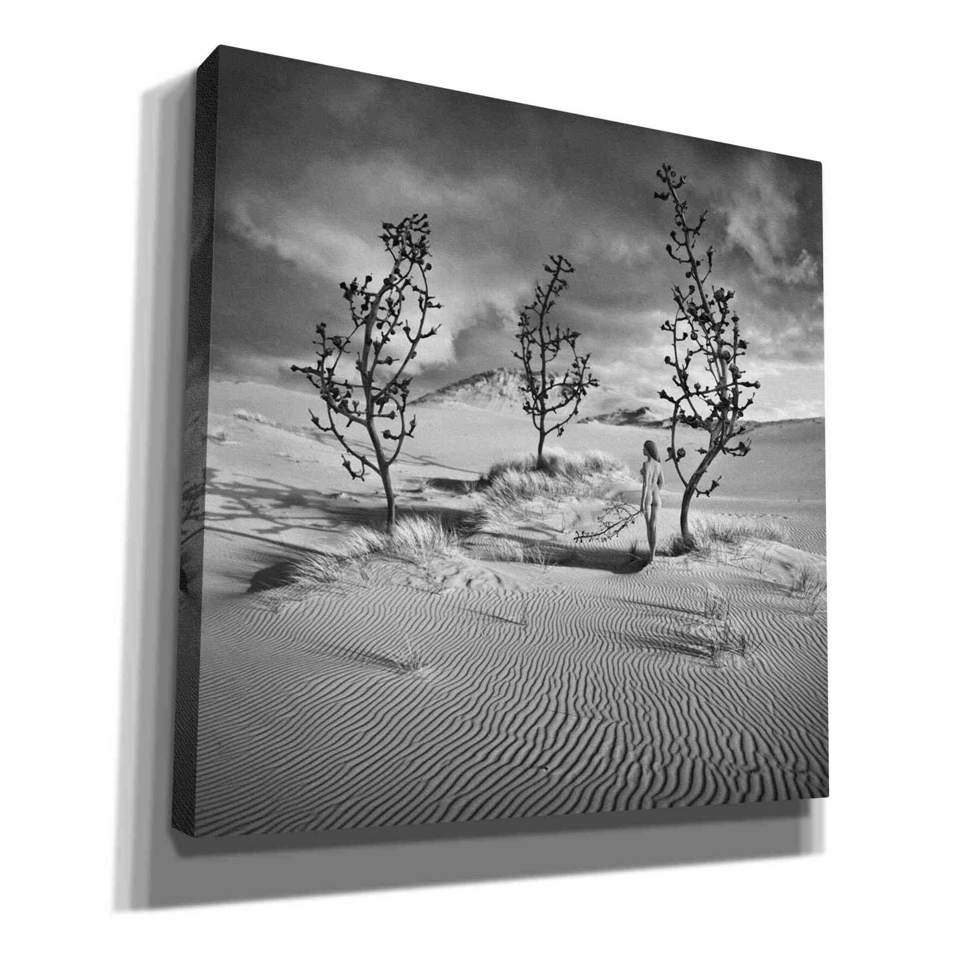 'Egarden' by Dariusz Klimczak, Giclee Canvas Wall Art