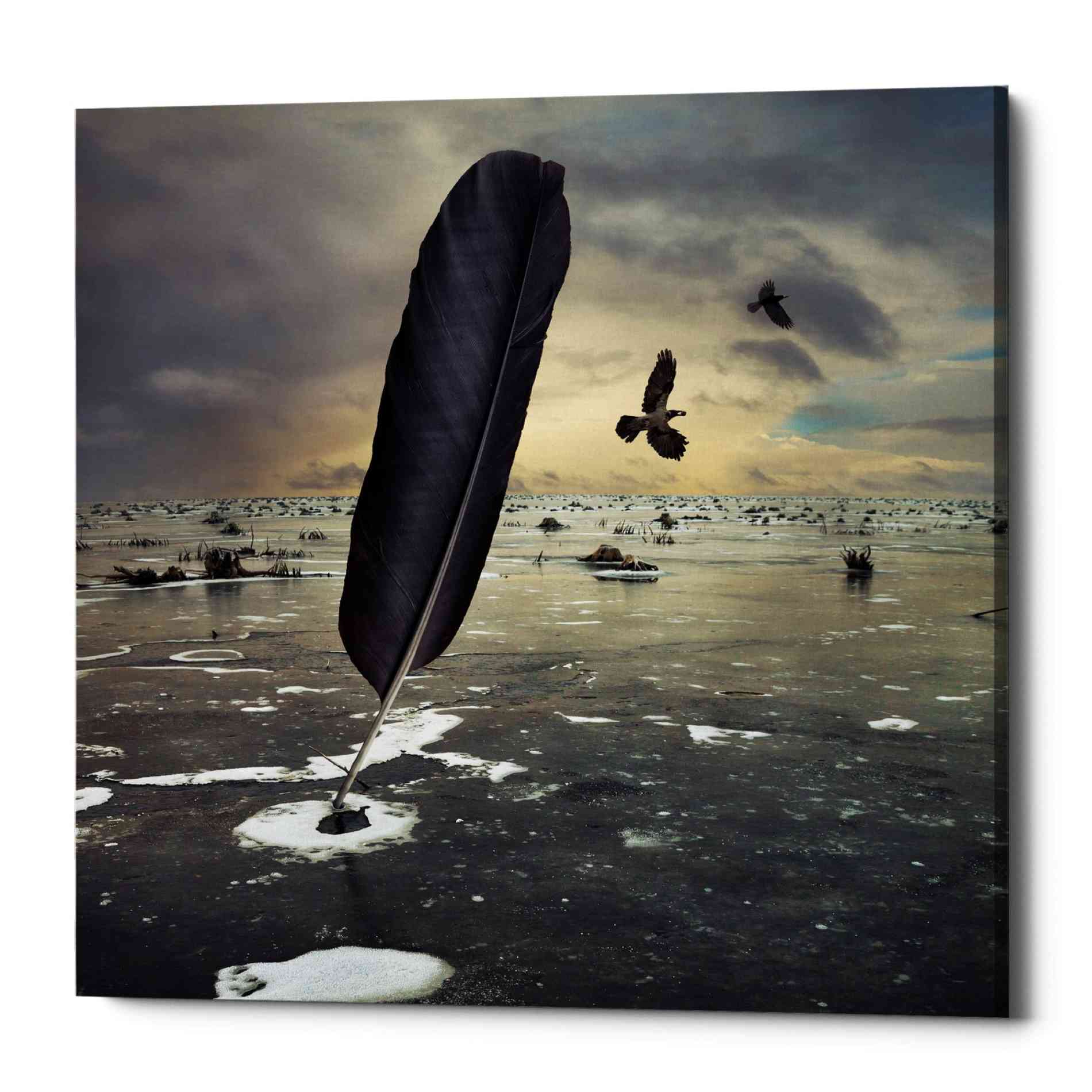 'Featherland' by Dariusz Klimczak, Canvas Wall Art