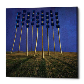 'Flowers' by Dariusz Klimczak, Canvas Wall Art