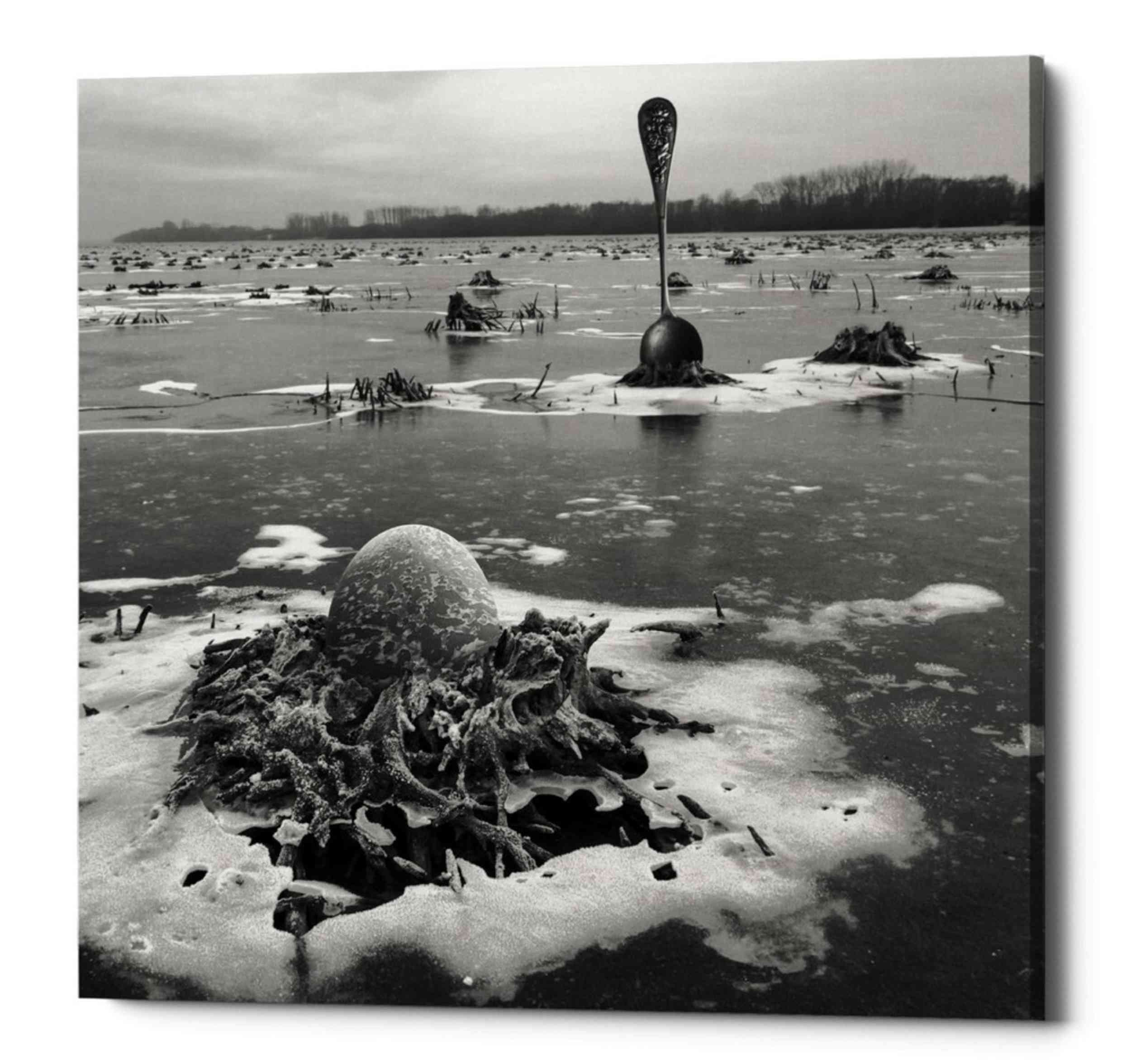 'Frozen Breakfast' by Dariusz Klimczak, Canvas Wall Art