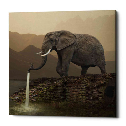 Image of 'Hydrant' by Dariusz Klimczak, Canvas Wall Art