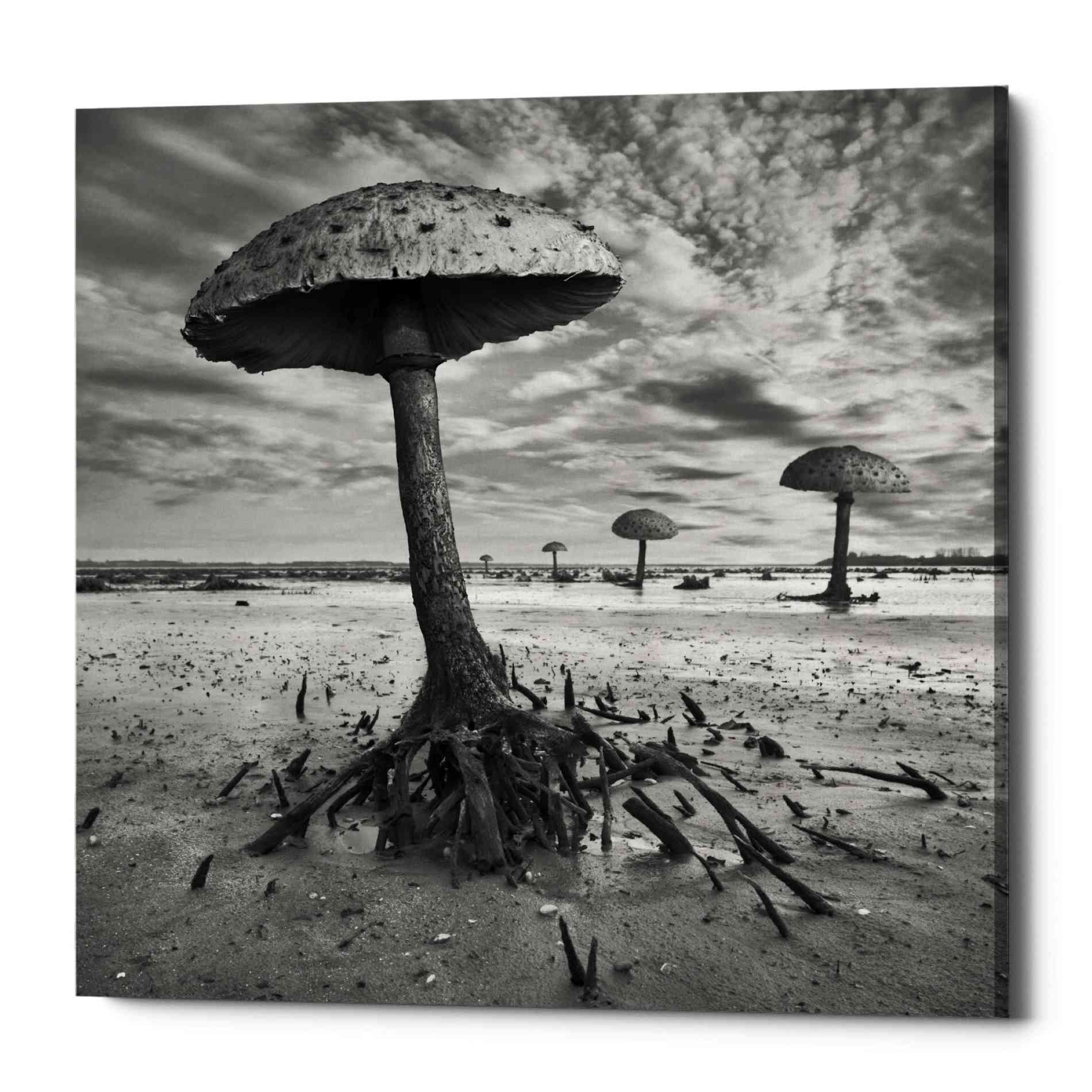 'Kanie' by Dariusz Klimczak, Canvas Wall Art