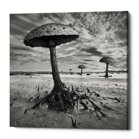 'Kanie' by Dariusz Klimczak, Canvas Wall Art