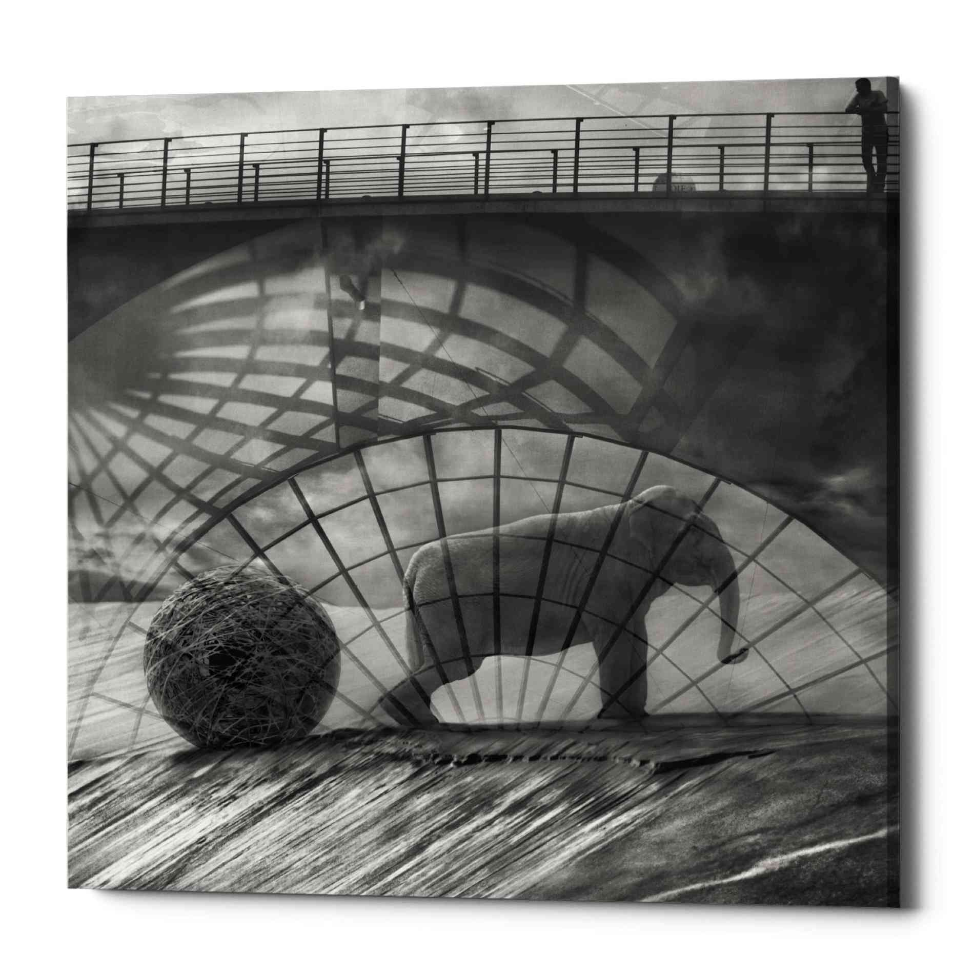 'Kingandi' by Dariusz Klimczak, Canvas Wall Art