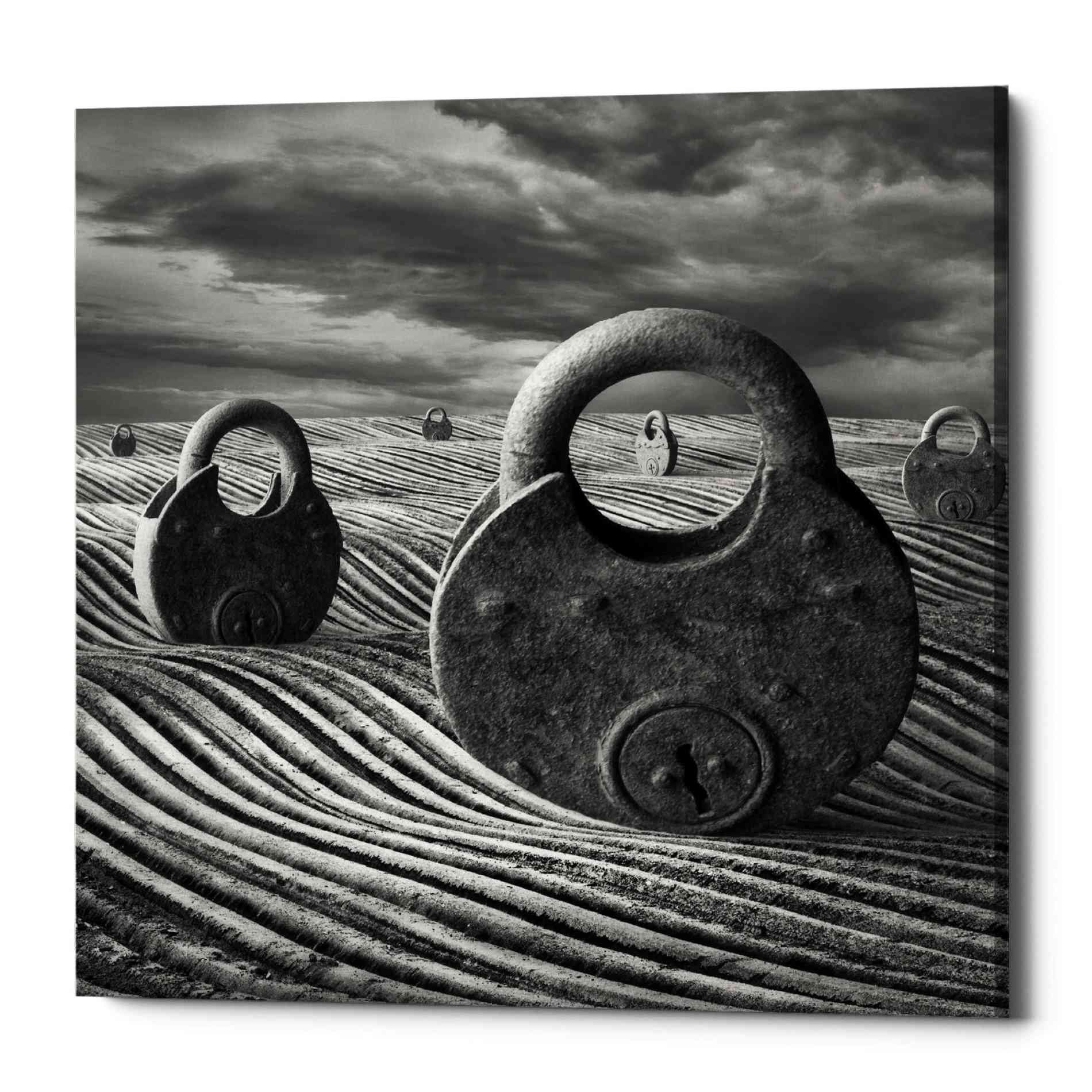 'Locked Landscape' by Dariusz Klimczak, Canvas Wall Art