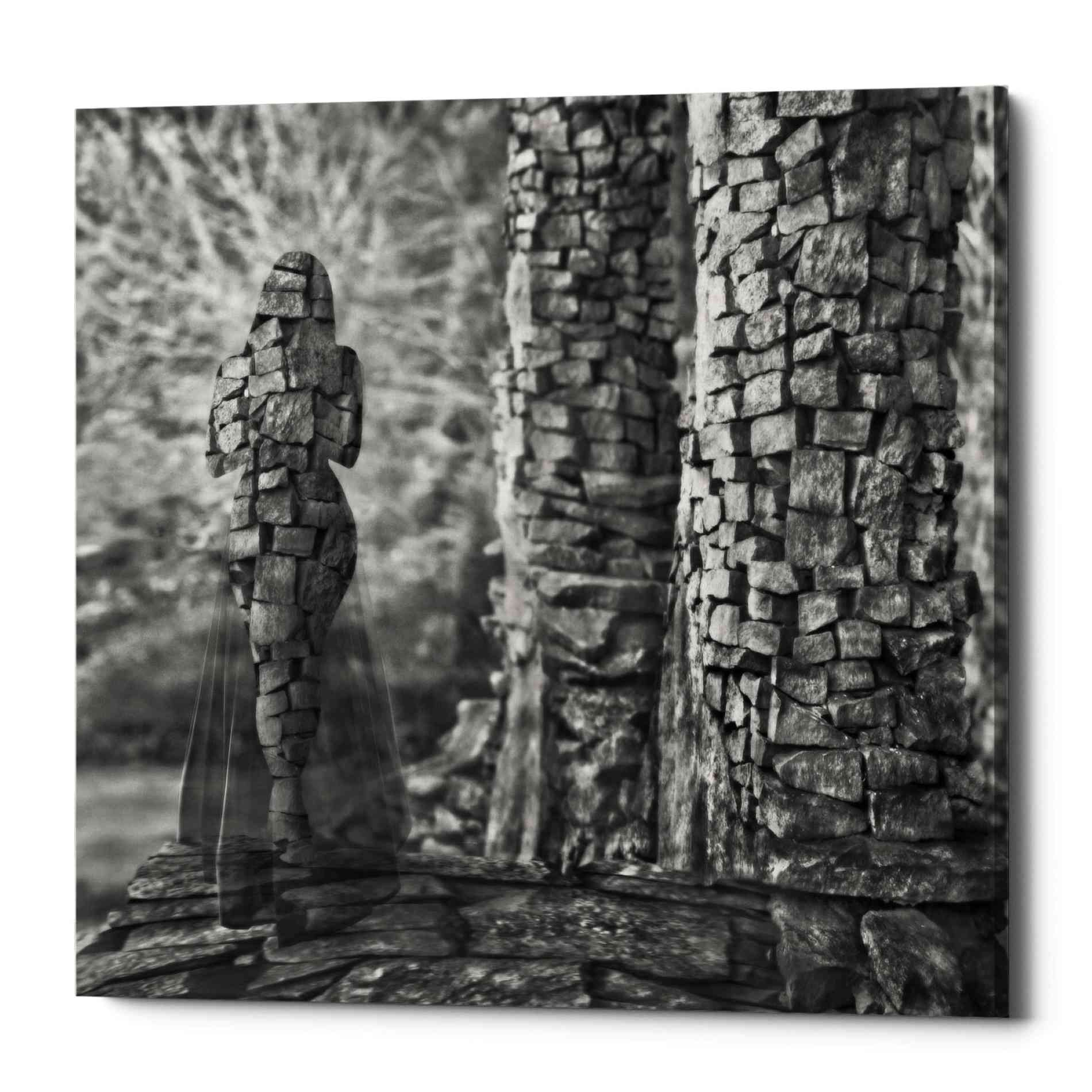 'Mandalana' by Dariusz Klimczak, Canvas Wall Art