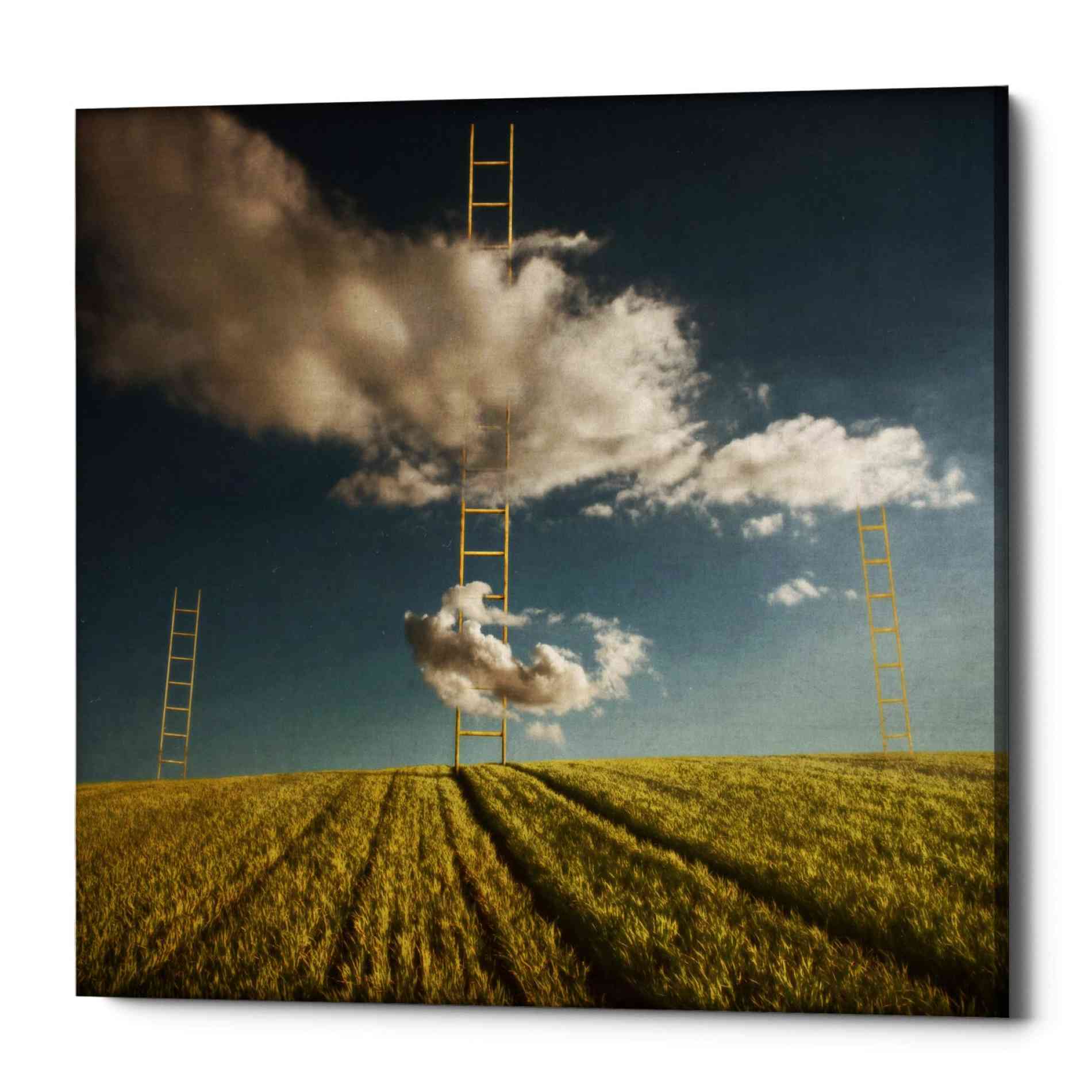 'Marzenia' by Dariusz Klimczak, Canvas Wall Art