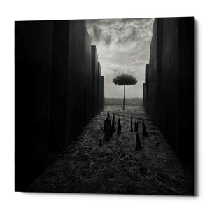 'Passageway' by Dariusz Klimczak, Canvas Wall Art
