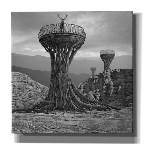 Image of 'Pulpit' by Dariusz Klimczak, Giclee Canvas Wall Art