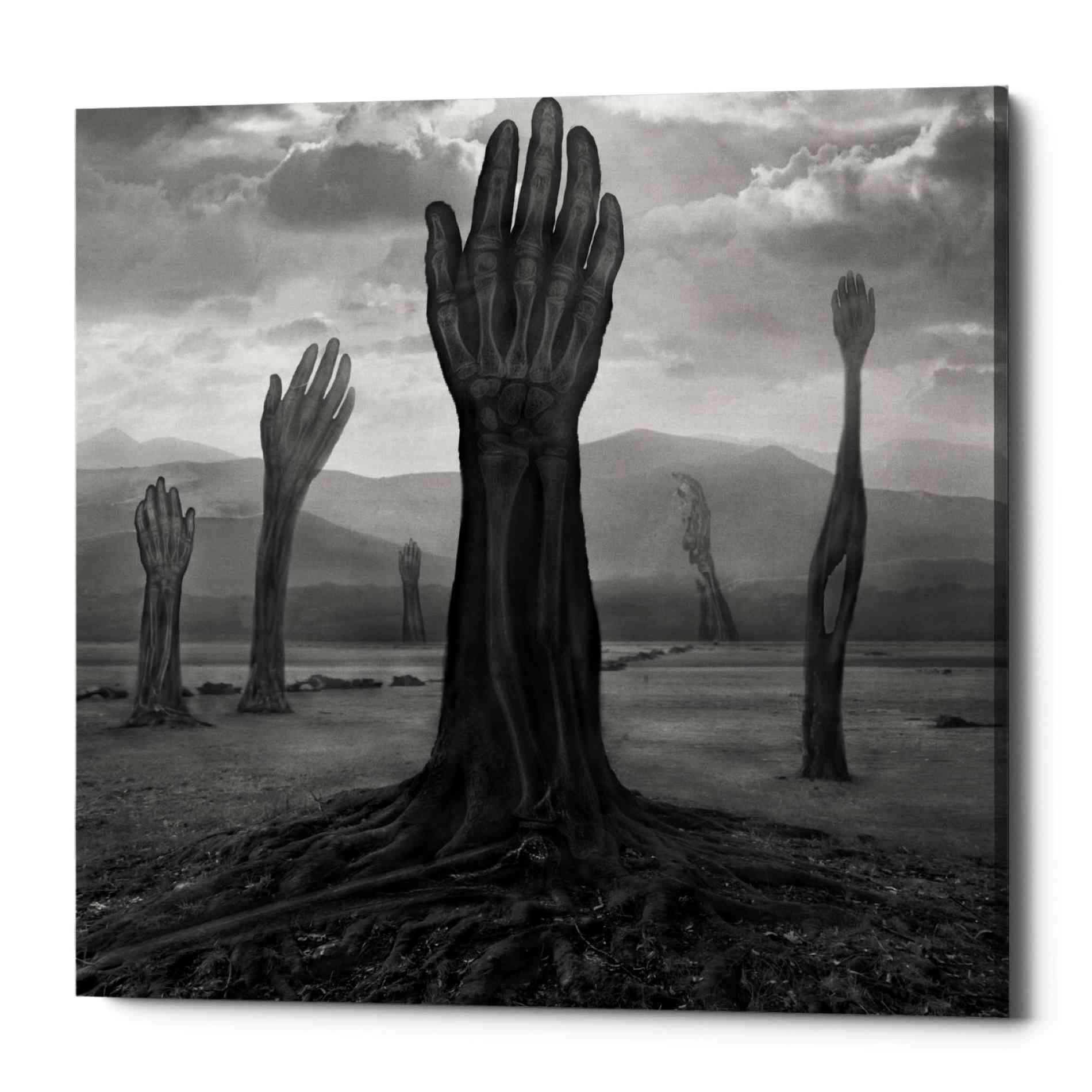 'Rentgen' by Dariusz Klimczak, Canvas Wall Art