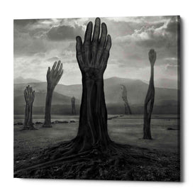 'Rentgen' by Dariusz Klimczak, Canvas Wall Art