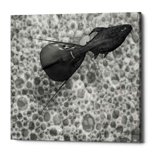 'Sumarum' by Dariusz Klimczak, Canvas Wall Art