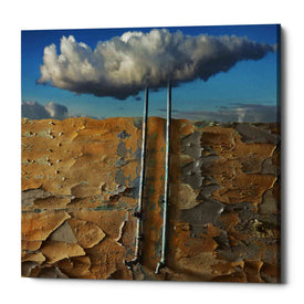 'Susza' by Dariusz Klimczak, Canvas Wall Art